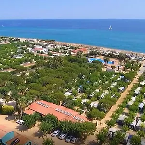  Camping Albatross Mobile Homes On Camping El Pla De Mar Espagne